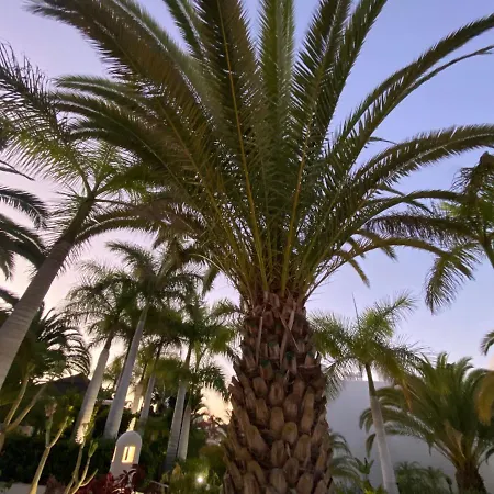 شقة Adeje Paradise أذيخي